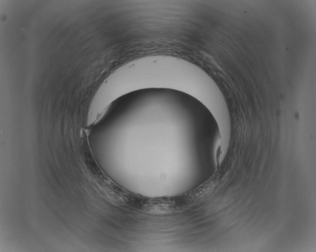 X0000067490368200604281523