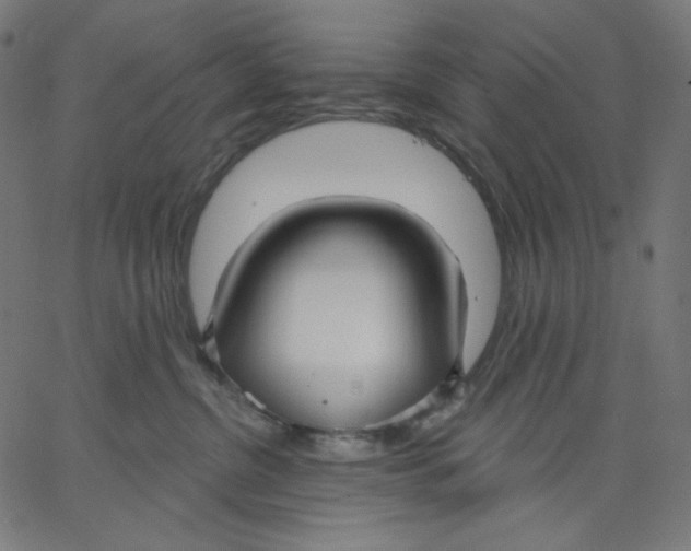 X0000067490380200604281523