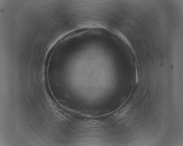 X0000067490387200604281523