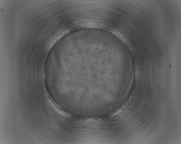 X0000067490390200604281522