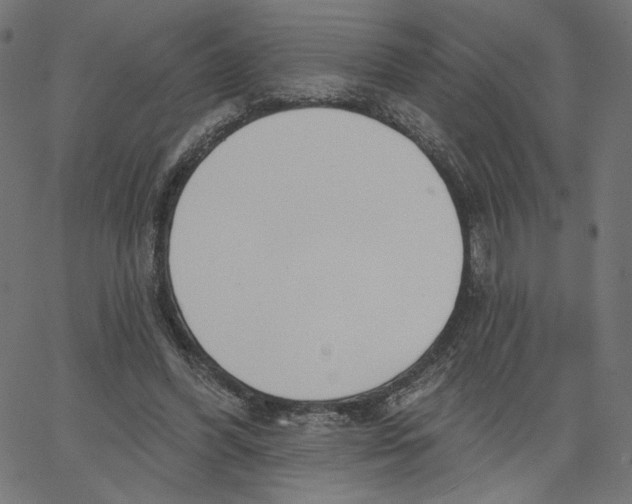 X0000067490396200604281522