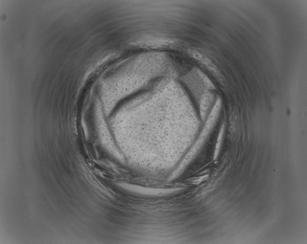 X0000067490399200604281522