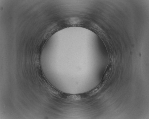 X0000067490421200604281522