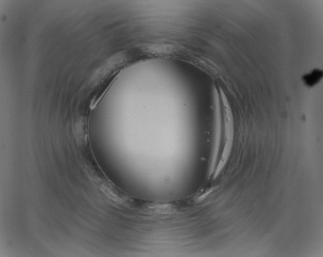 X0000067490428200604281522
