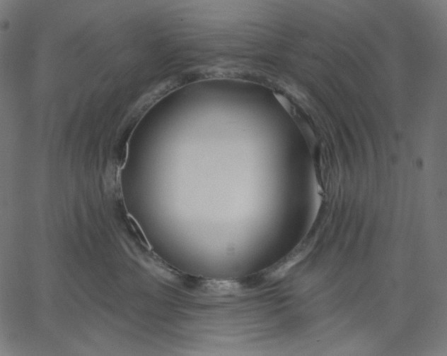X0000067490429200604281522