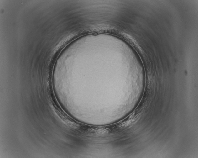 X0000067490443200604281521