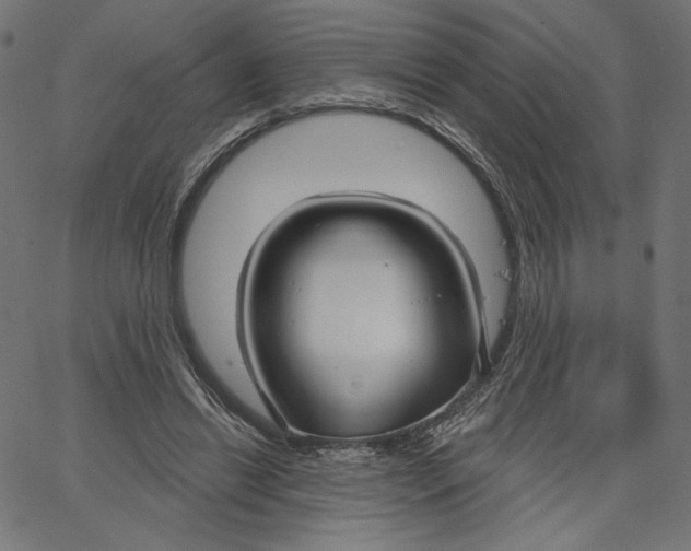 X0000067490446200604281521