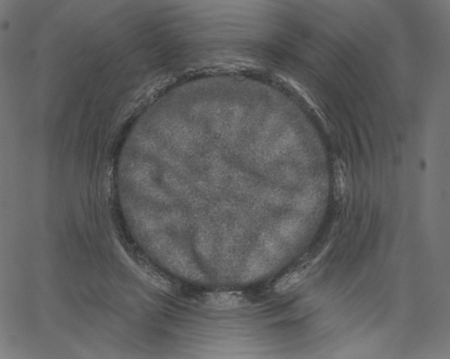 X0000067490451200604281521