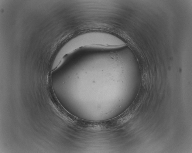X0000067490454200604281521