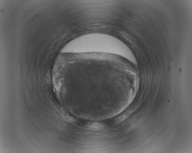 X0000067490467200604281522