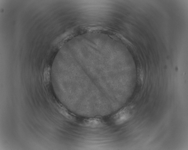 X0000067490475200604281522