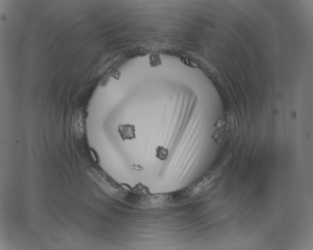 X0000067490479200604281522