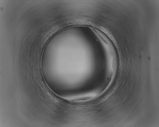X0000067490481200604281521