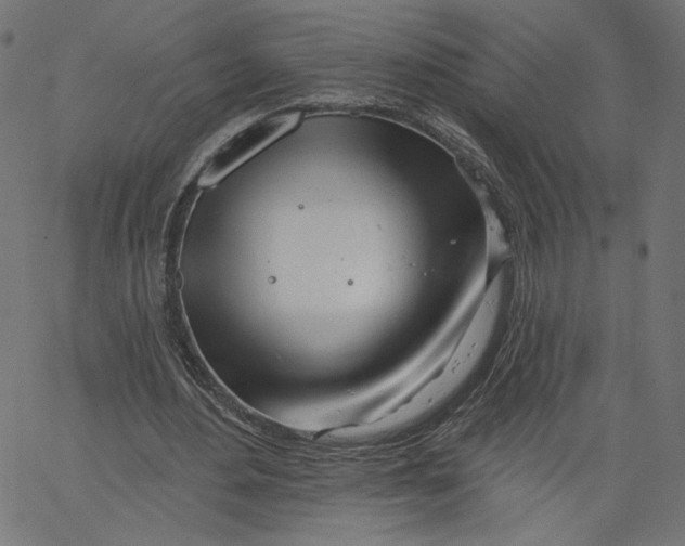 X0000067490484200604281521