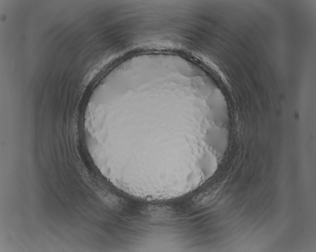 X0000067490487200604281521