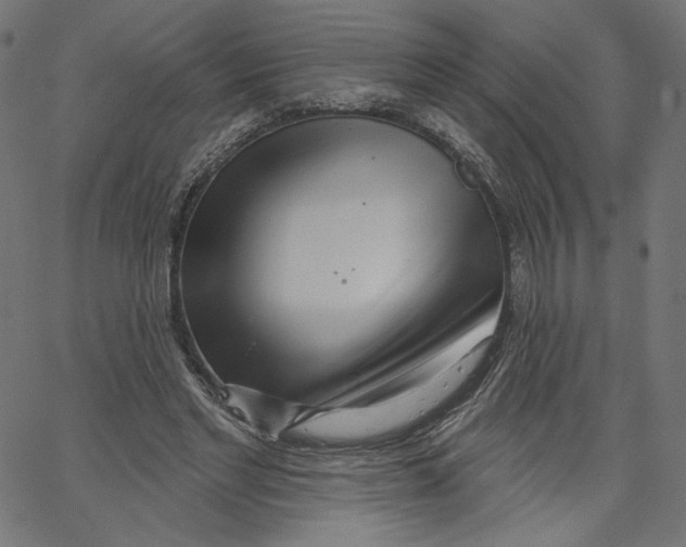 X0000067490493200604281521
