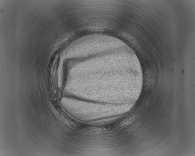 X0000067490494200604281521