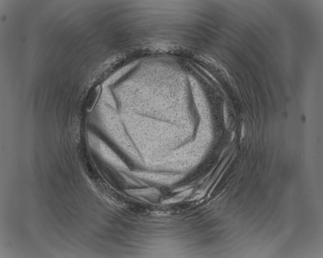 X0000067490496200604281521