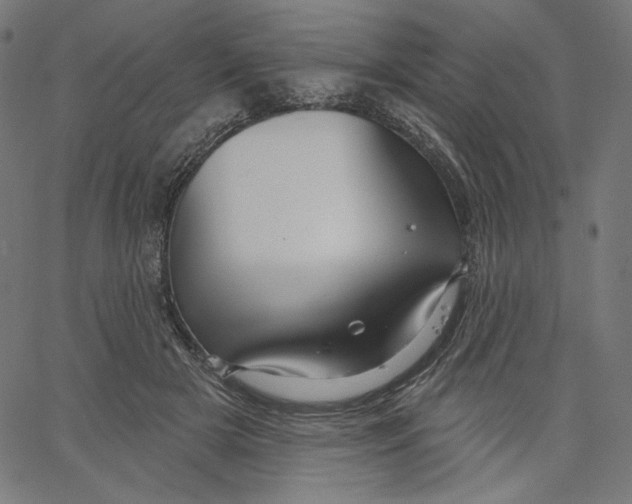 X0000067490505200604281521