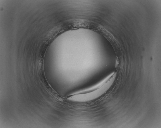 X0000067490513200604281520
