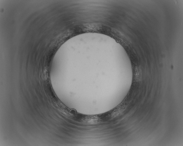 X0000067490514200604281520