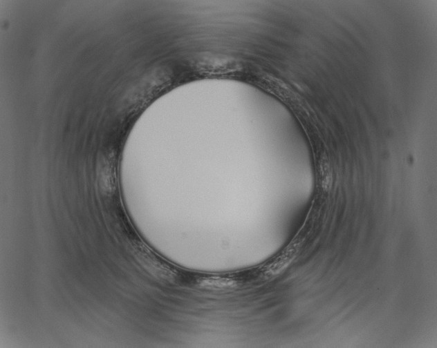 X0000067490515200604281520