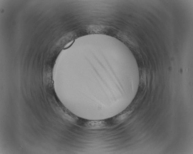 X0000067490526200604281520