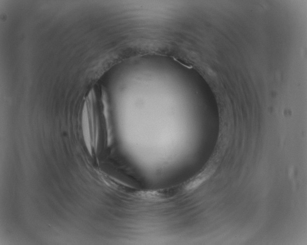 X0000067490528200604281520
