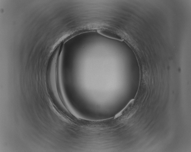 X0000067490530200604281519