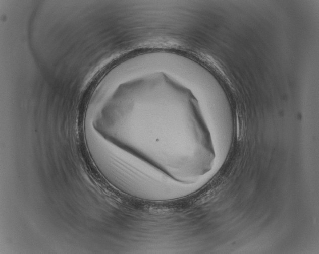 X0000067490531200604281519