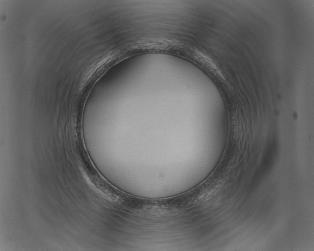 X0000067490538200604281520