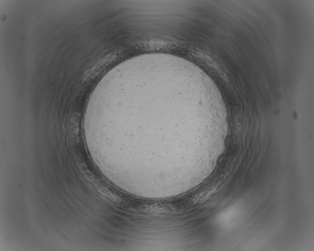 X0000067490545200604281520