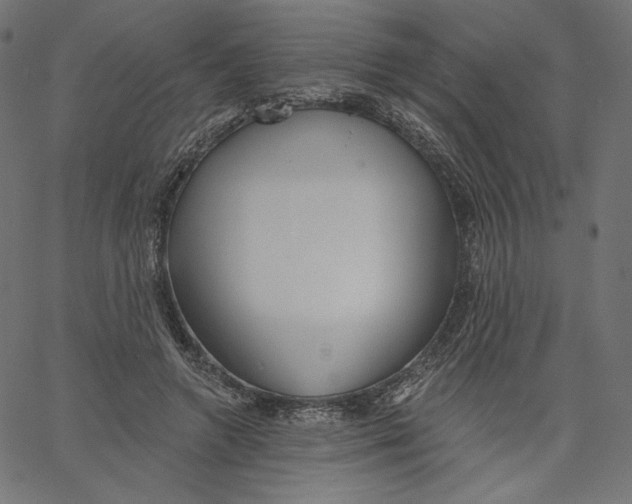 X0000067490546200604281520