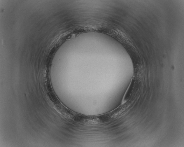 X0000067490548200604281520