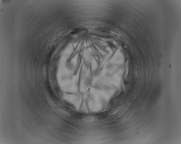 X0000067490551200604281520