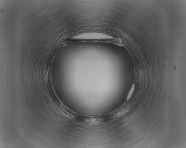 X0000067490558200604281520