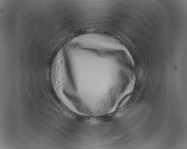 X0000067490565200604281520