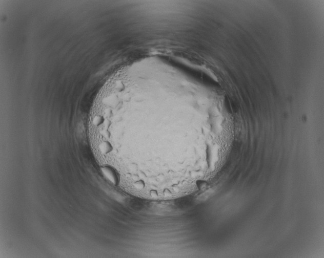 X0000067490573200604281520