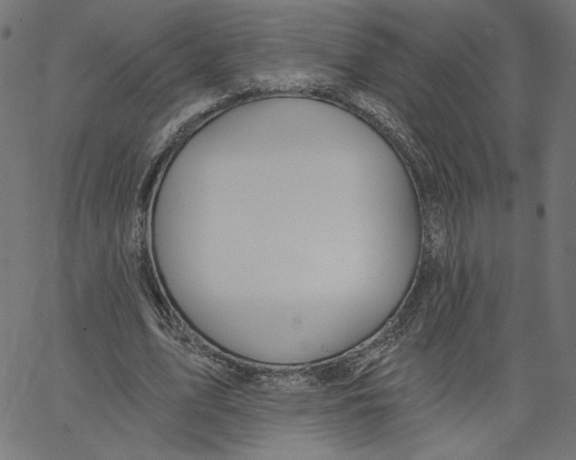 X0000067490583200604281519