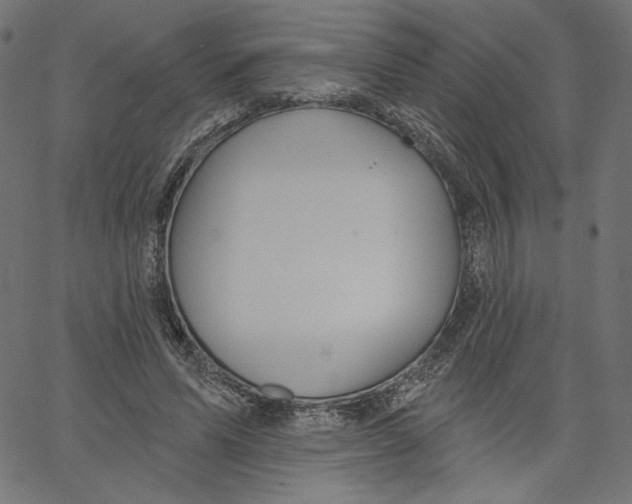 X0000067490591200604281519