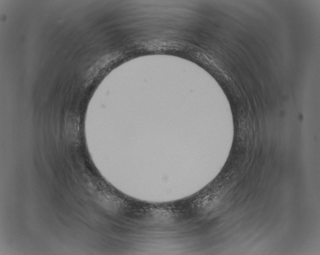 X0000067490592200604281519