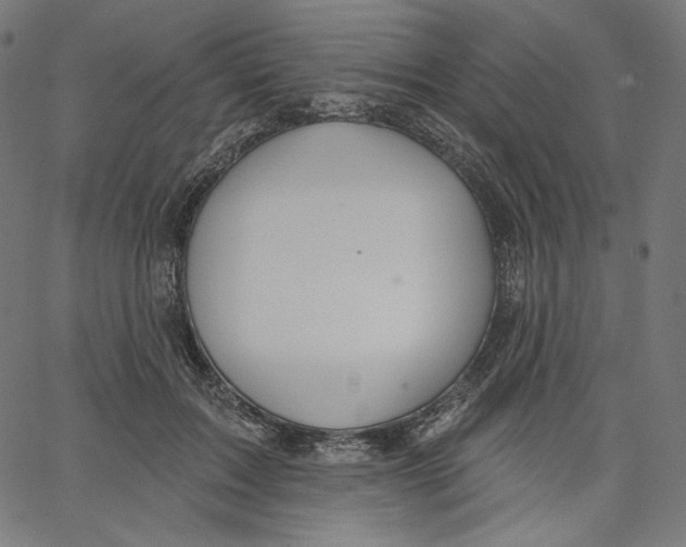 X0000067490603200604281519