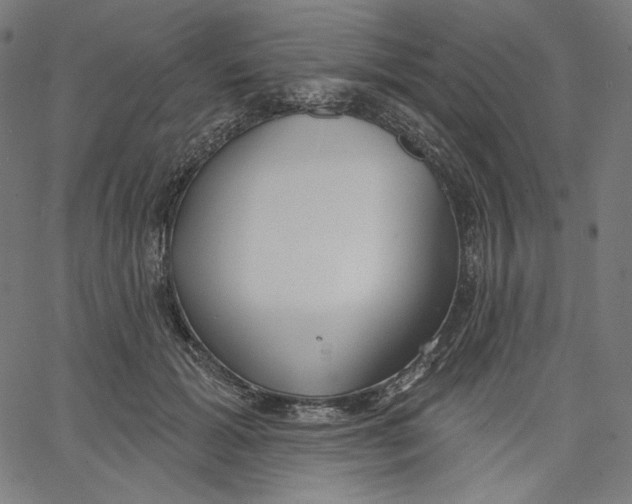 X0000067490605200604281519