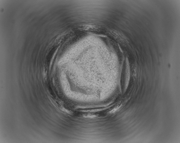 X0000067490607200604281519
