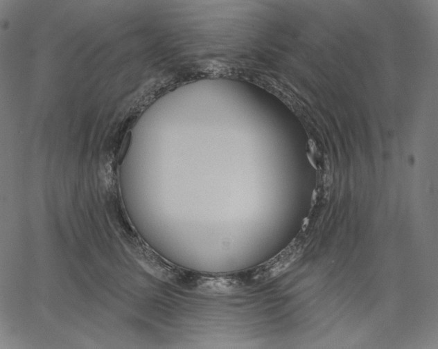X0000067490611200604281519