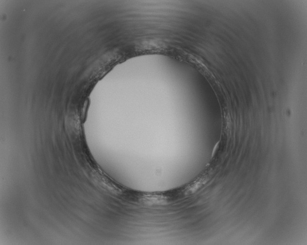 X0000067490617200604281519