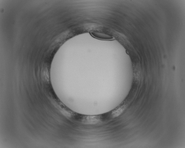 X0000067490622200604281519