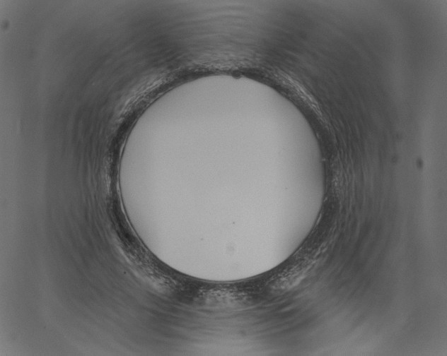 X0000067490635200604281518