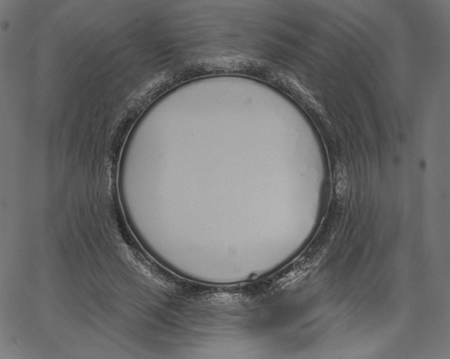 X0000067490637200604281518