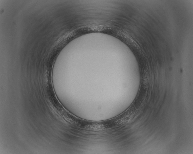X0000067490639200604281518